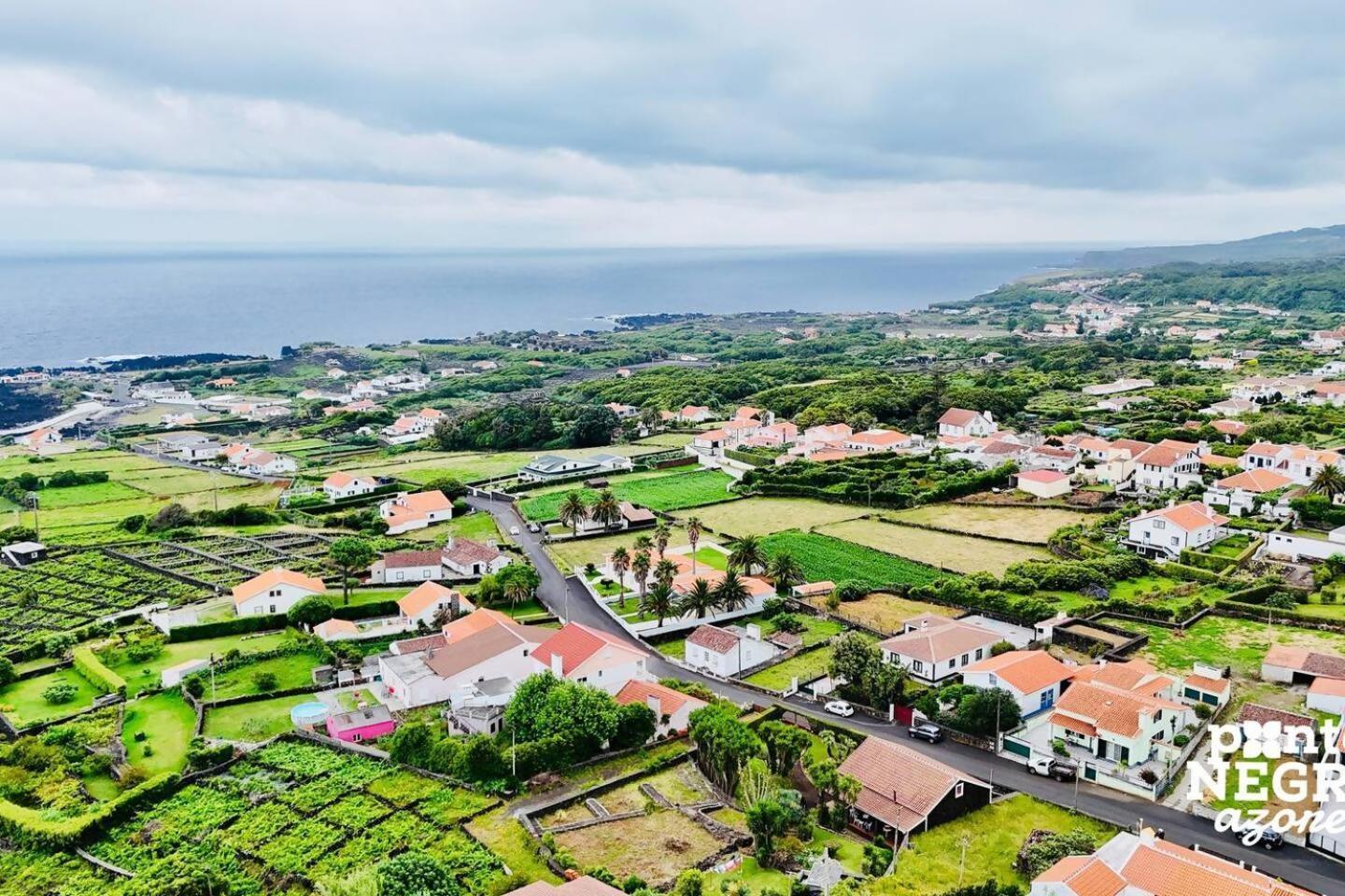 فيلا Casa Martins By Pontanegraazores Biscoitos  المظهر الخارجي الصورة